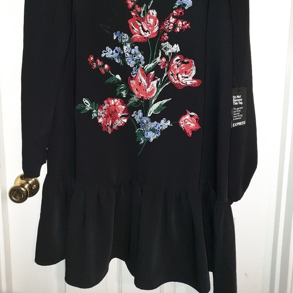 Express mini dress with embroidery. Size M. - Picture 2 of 5
